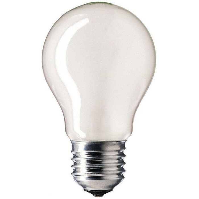 A60 E27 gloeilamp peer 100w mat