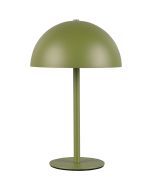 Reality Munoz R54891115 groen oplaadbaar tafellampje van metaal op batterijen