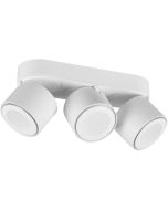 Trio Taurus 652910331 witte plafondspot