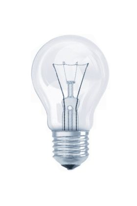 A60 E27 gloeilamp peer 100w helder