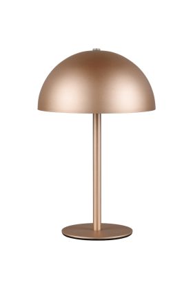 Reality Munoz R54891165 koffiebruin oplaadbaar tafellampje van metaal op batterijen