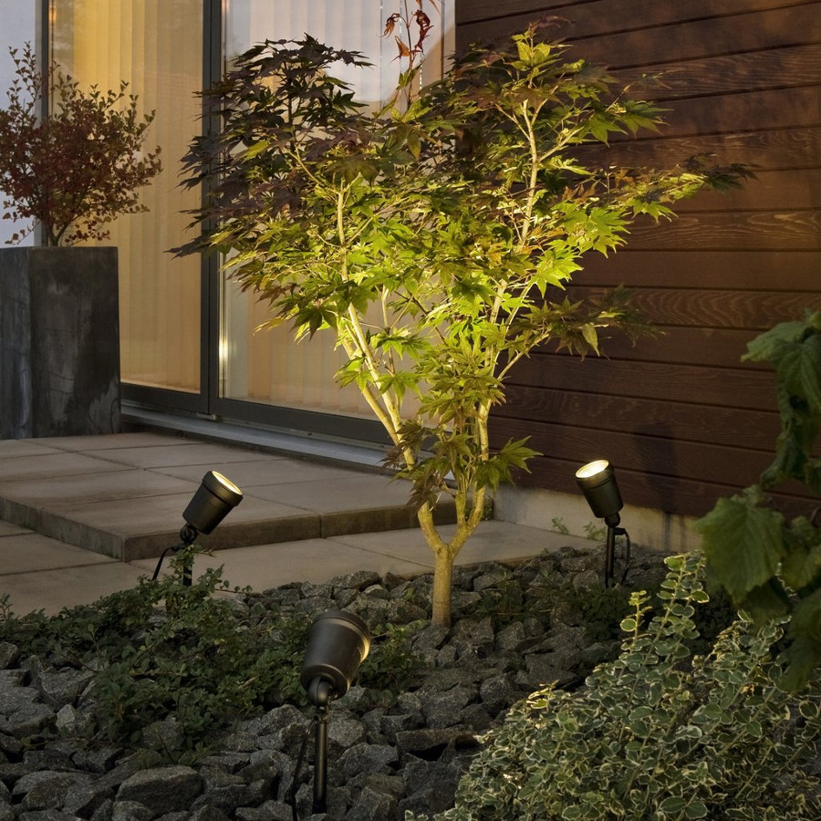 Een door twee tuinspots uitgelichte plant langs een tuinpad